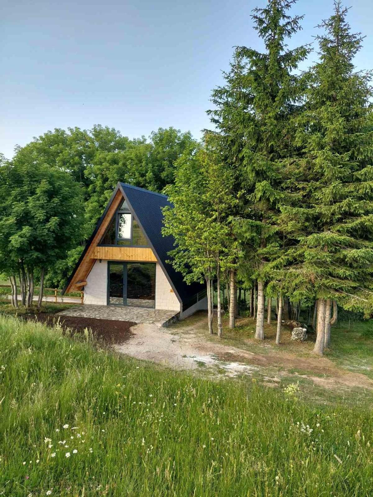 Villa Anovi House à Žabljak Extérieur photo
