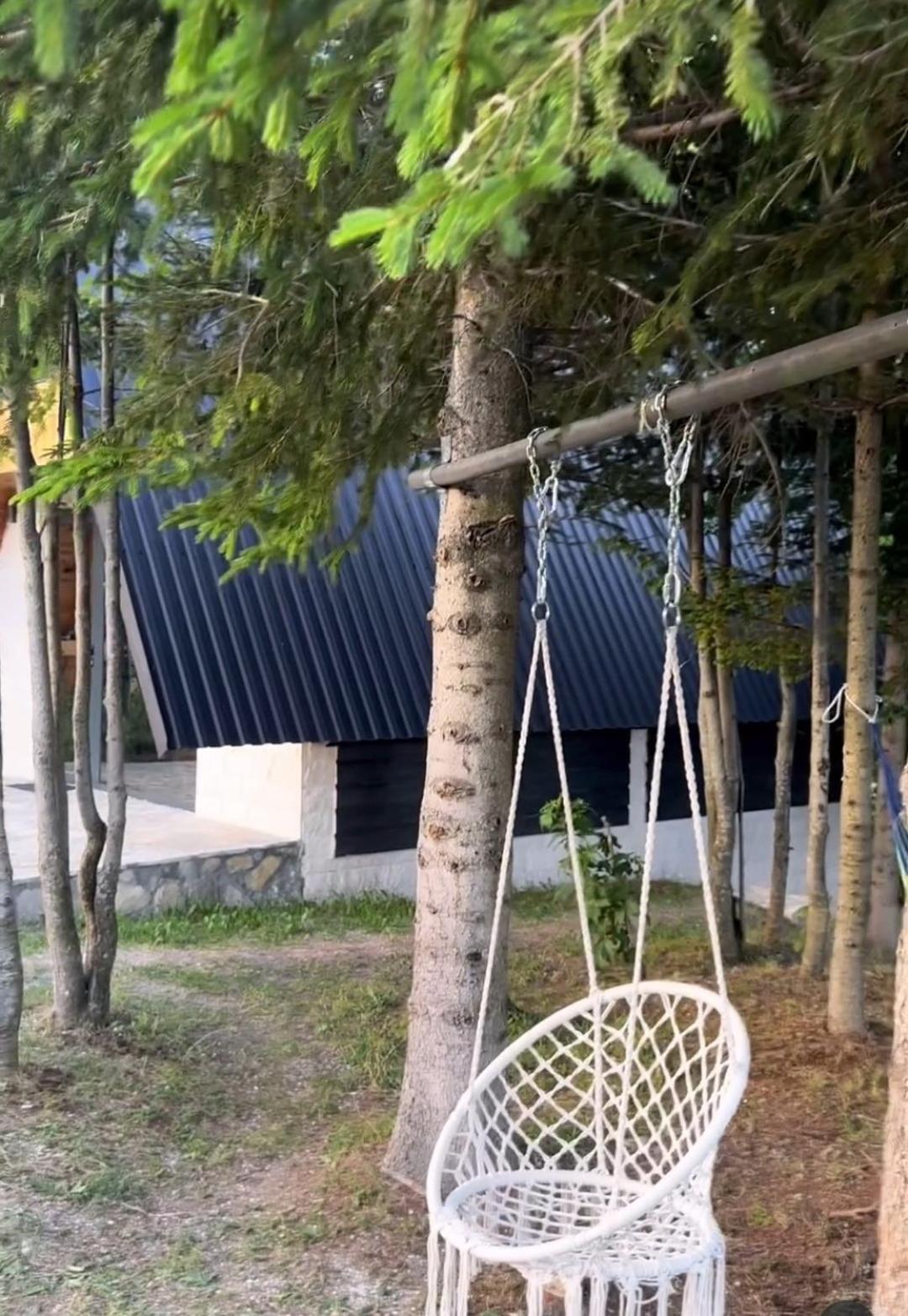 Villa Anovi House à Žabljak Extérieur photo