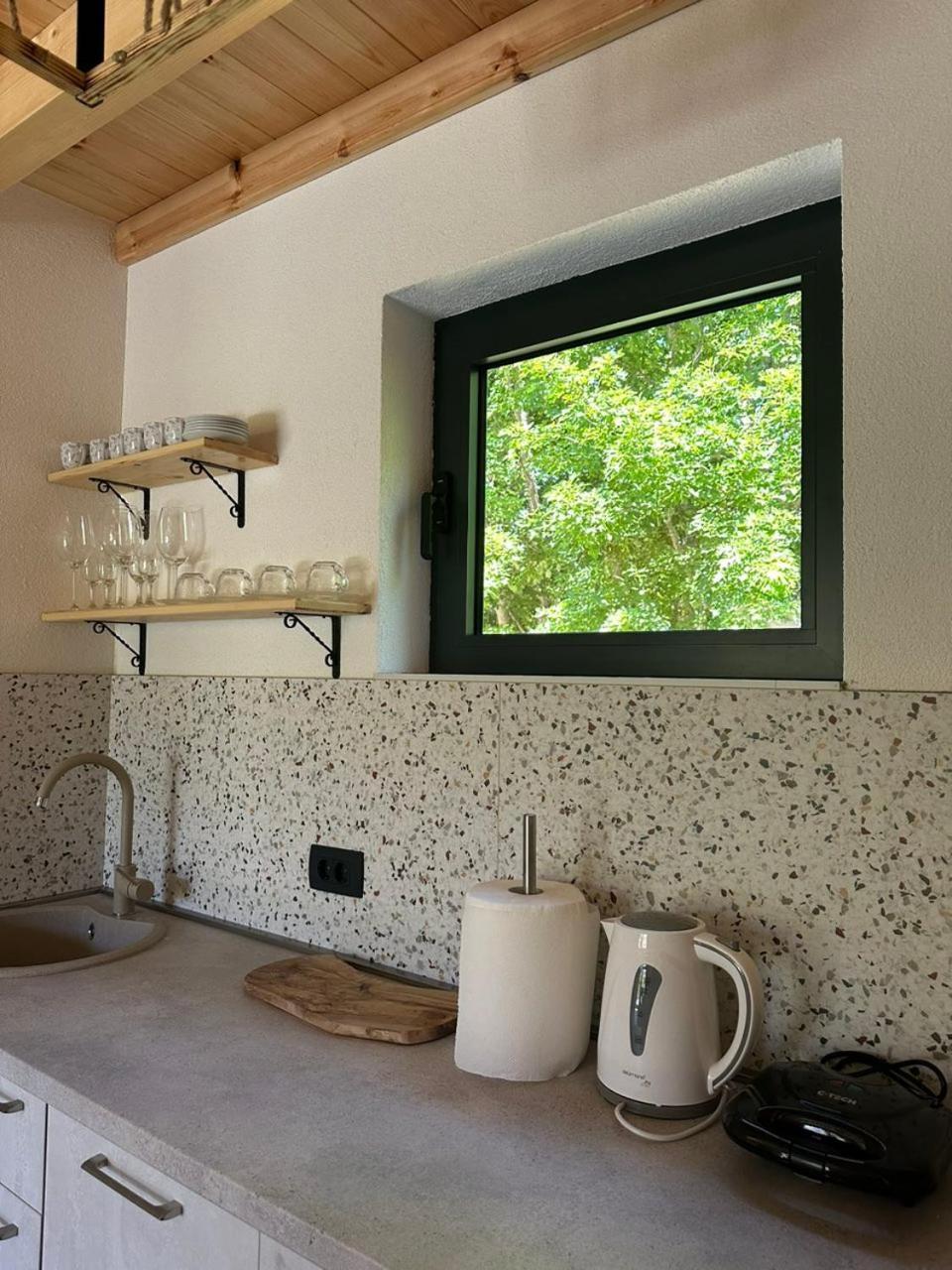 Villa Anovi House à Žabljak Extérieur photo